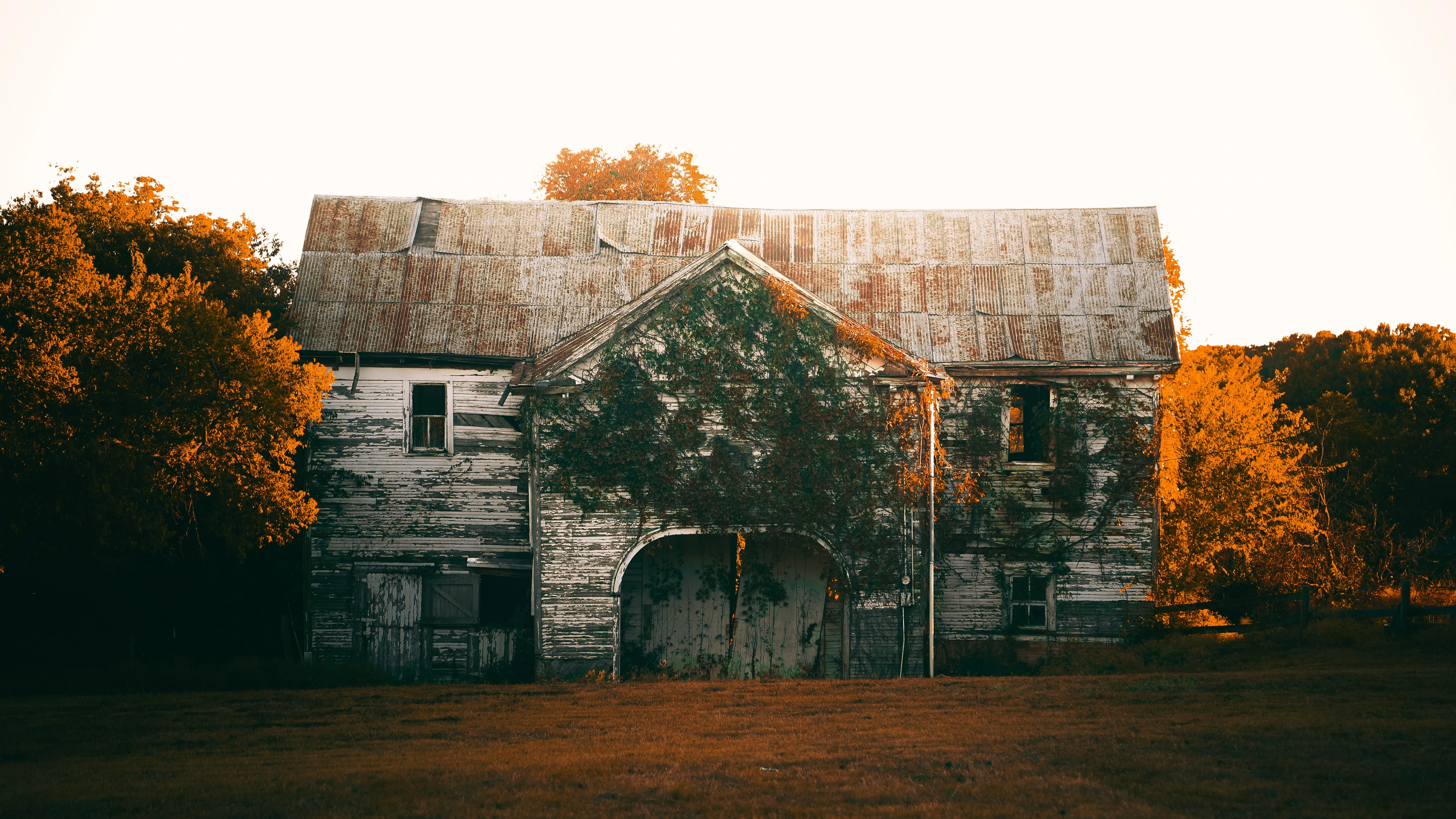 Weathered barn framed by autumn foliage