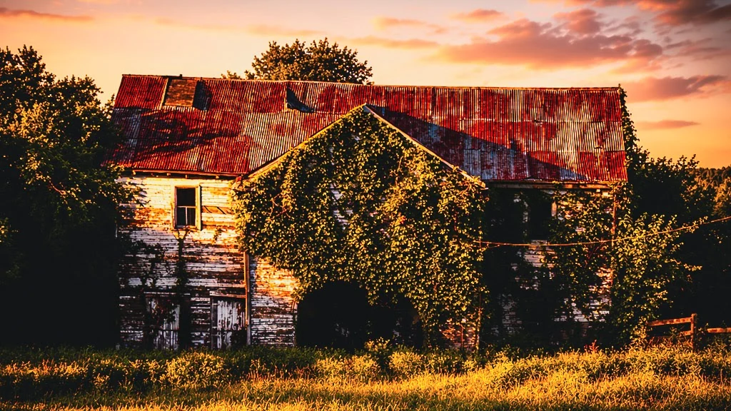 Weathered barn in warm summer light