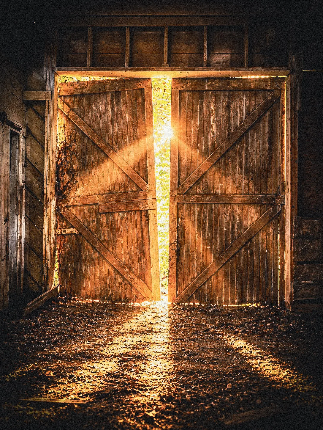 Sunlight streaming through the open doors of a rustic wooden barn.